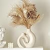 Snuggle Hollow Ceramic Vase Set of 2